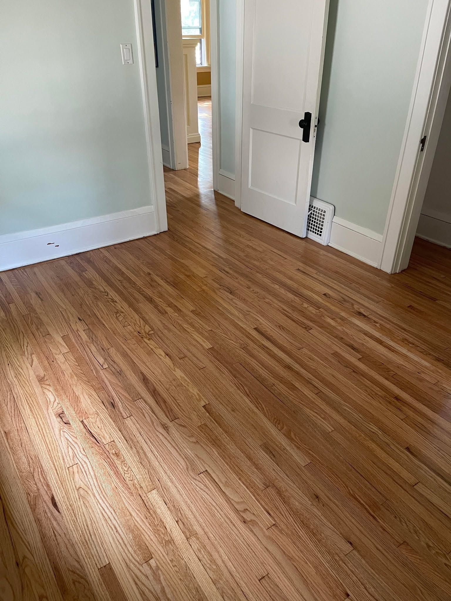 Hallway with medium-brown hardwood plank flooring and white baseboards and doors.