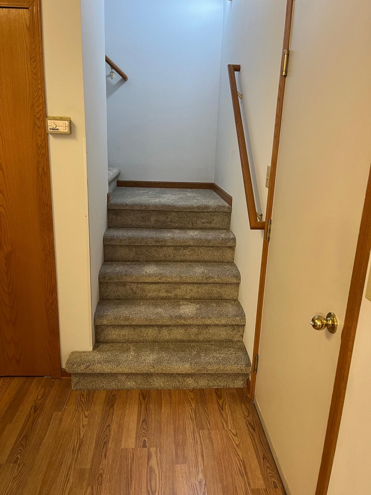Carpeted staircase with gray carpet and wood-trimmed steps leading upward.