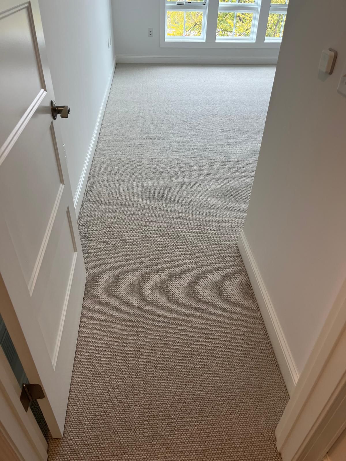 Light gray wool carpet installed in a hallway with white walls and trim.