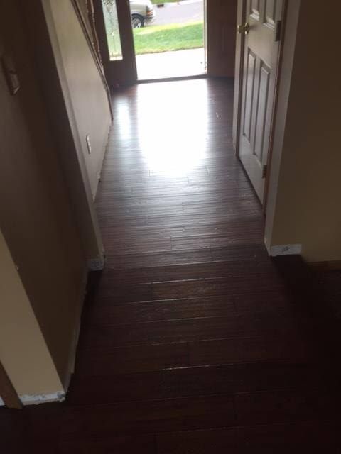 Dark hardwood plank flooring in an entryway with glass door to exterior.